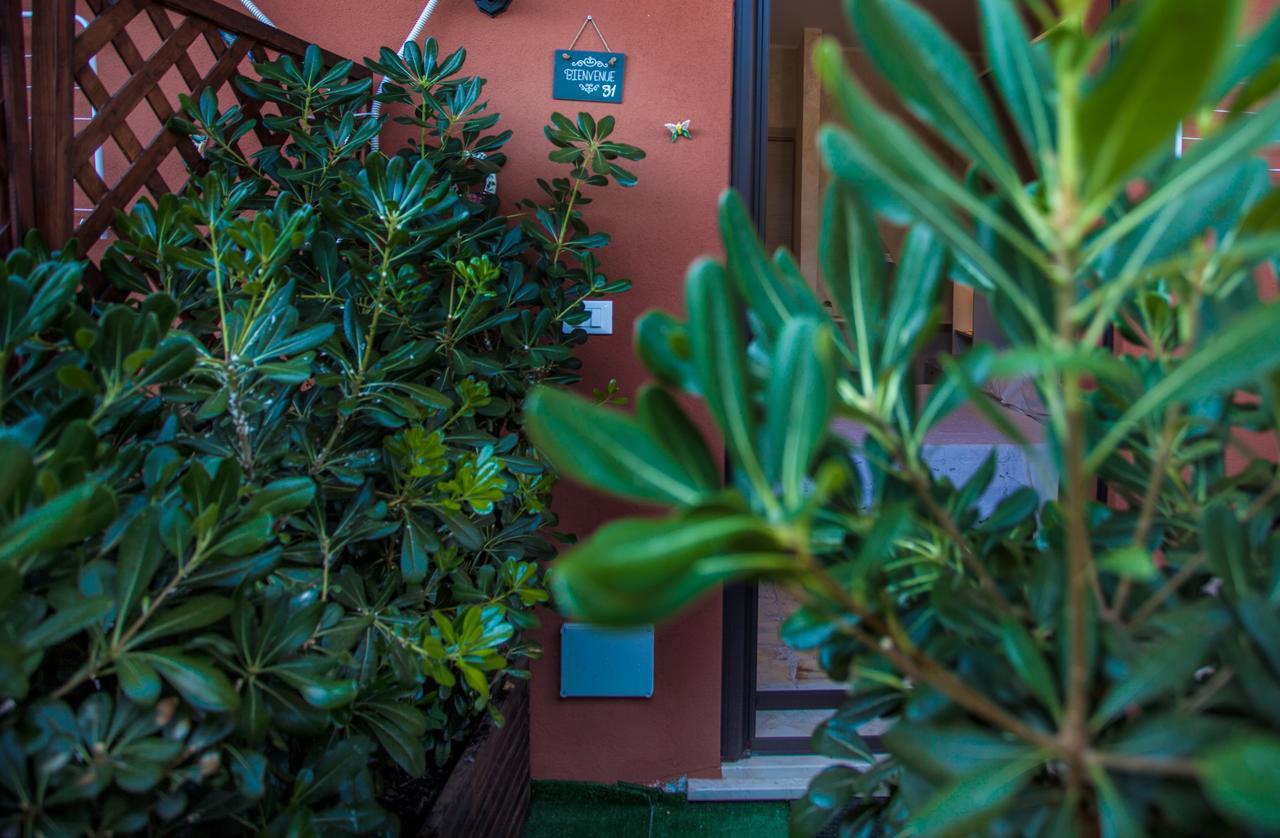 Venere B&B קסטלמולה מראה חיצוני תמונה